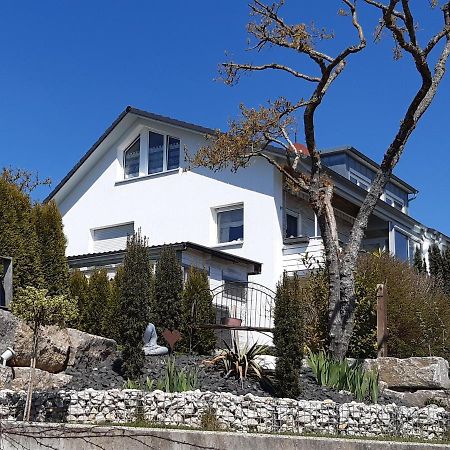 Apartamento Staedtle-Blick Hayingen Exterior foto